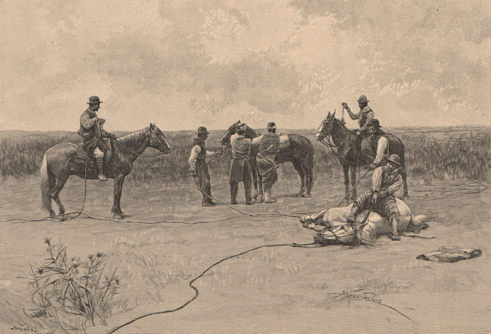 Group of Gauchos. Argentina 1885 old antique vintage print picture